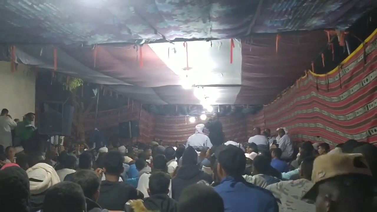 مصطفى ديقامبا digamba