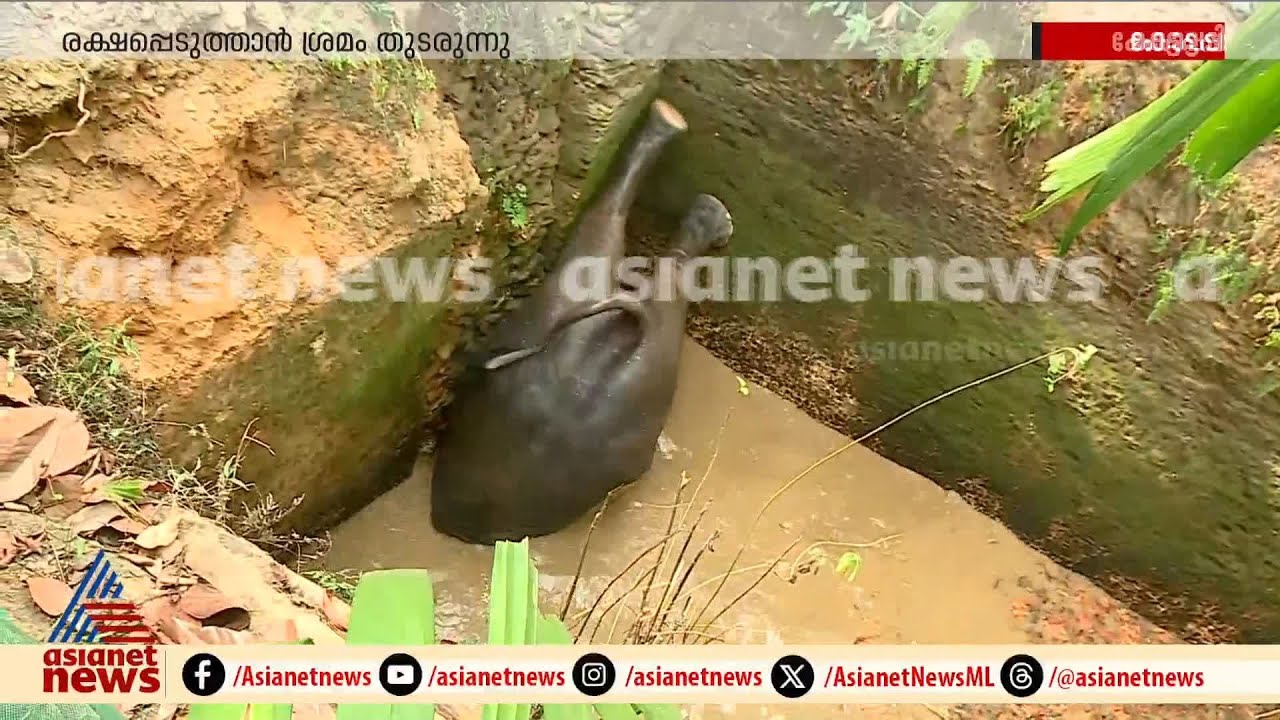 തലകുത്തി നിന്നിട്ടും കയറാൻ പറ്റുന്നില്ലല്ലോ!