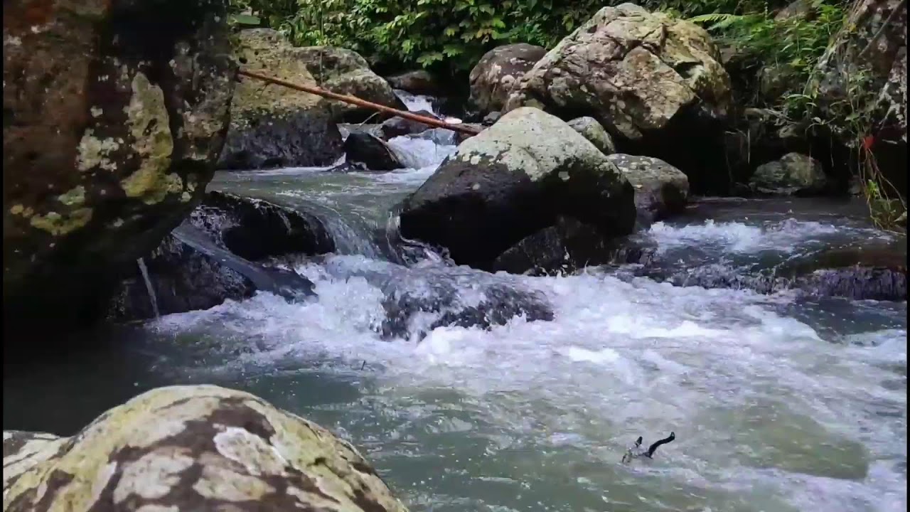 LIVE 🌙 Overthinking at Night? River Sounds for Deep Sleep & Anxiety Relief (24/7 Calm Water)