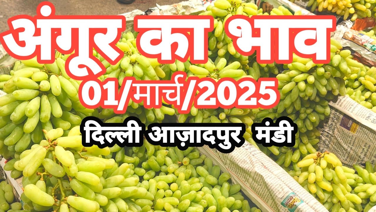 1/मार्च/2025 🍇अंगूर का भाव आज़ादपुर मंडी दिल्ली |today grapes rates #angoor #grapefruit  #mandi
