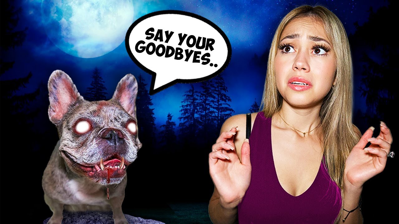 My POSSESSED DOG Started TALKING?!