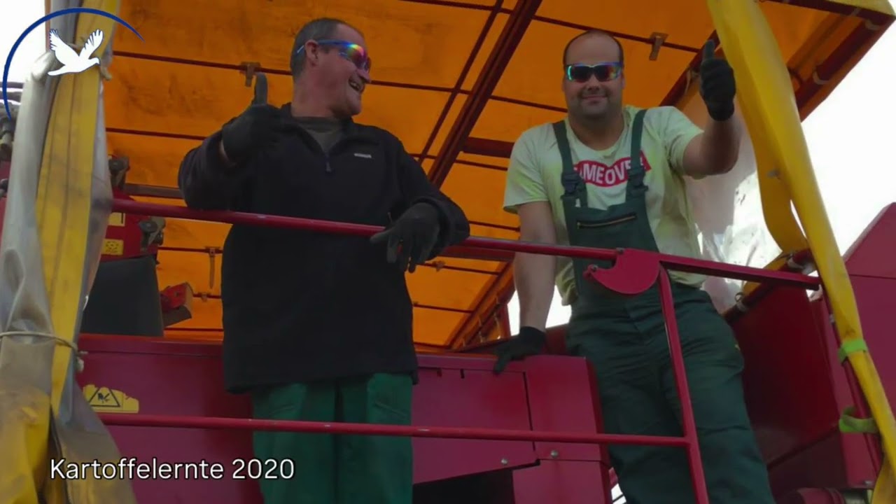 Kuh-le Arbeit - Querfurt