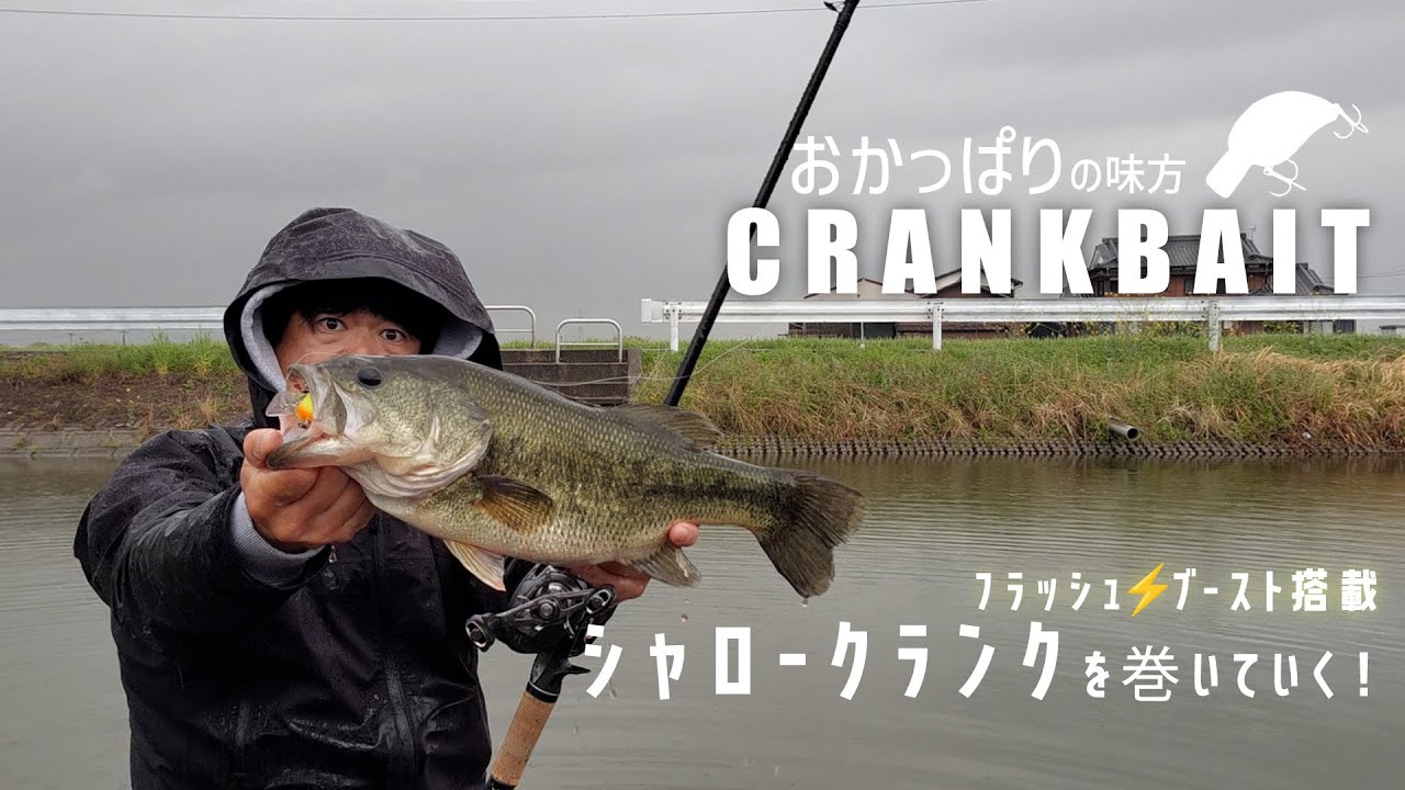 バス釣りの定番アイテム、シャロークランク！フラシュブースト搭載のワールドラッシュを巻きまくり！（バス釣り・クランクベイト・おかっぱり）