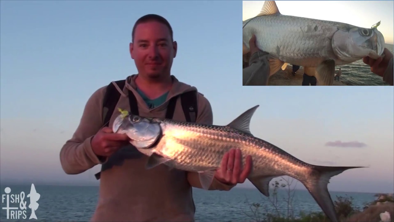 CUBA (Part 3) TARPONS du bord !