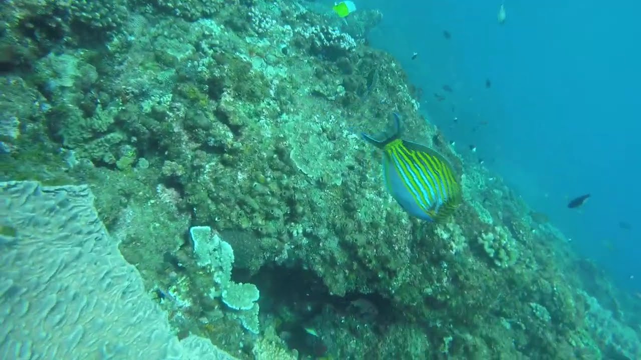 Sodwana Bay February 2026
