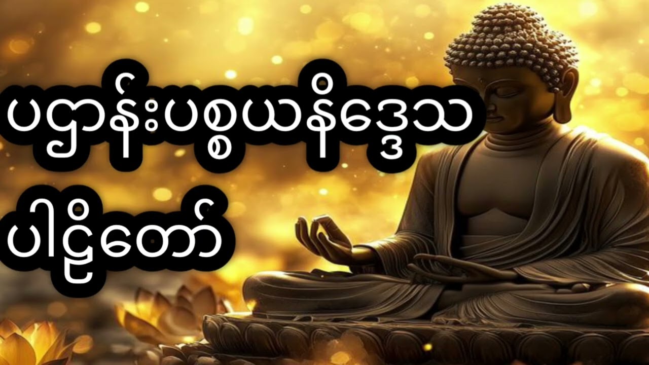 ပဌာန်းပစ္စယနိဒ္ဒေသပါဠိတော်#တရားတော်များ #youtube #youtubeshorts 