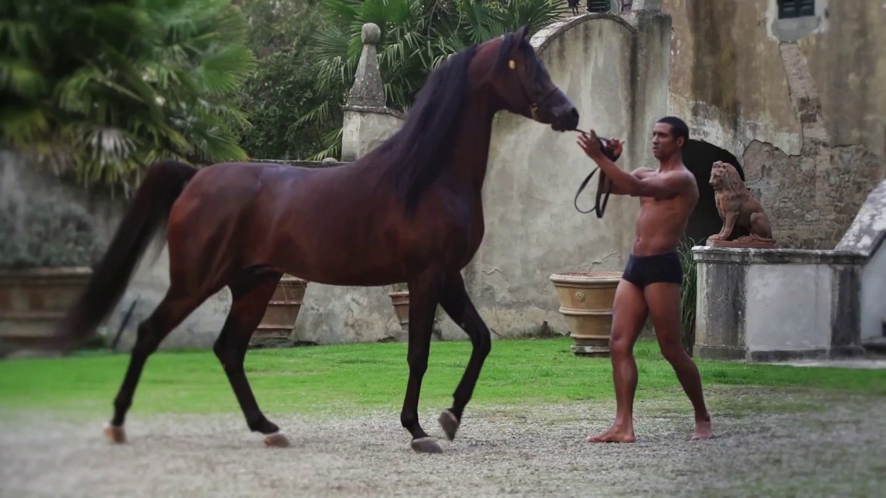 EKS ALIHANDRO - A film by Matteo Marconi and Oscar Sanchez H - Giacomo Capacci Arabians