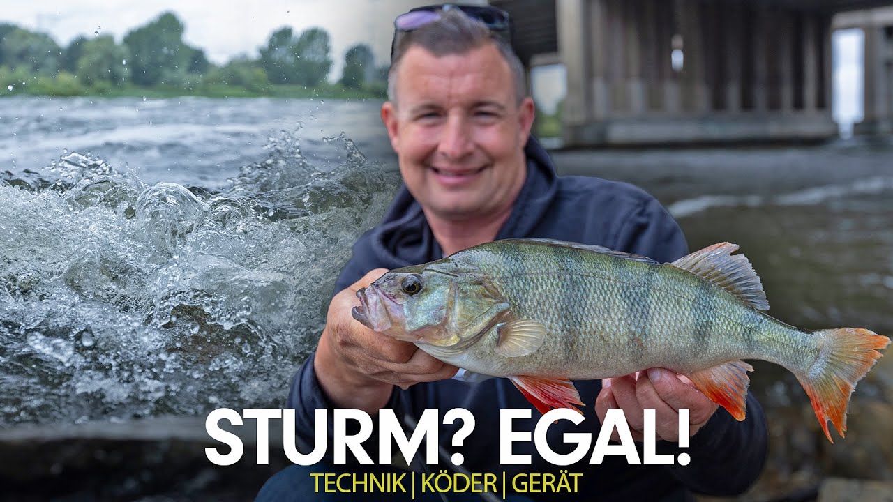 Spinnfischen bei Sturm!🌊 I Hecht, Zander & Barsch mit Gummifisch - Tipps f&uuml;r Wind und Wellen🎣