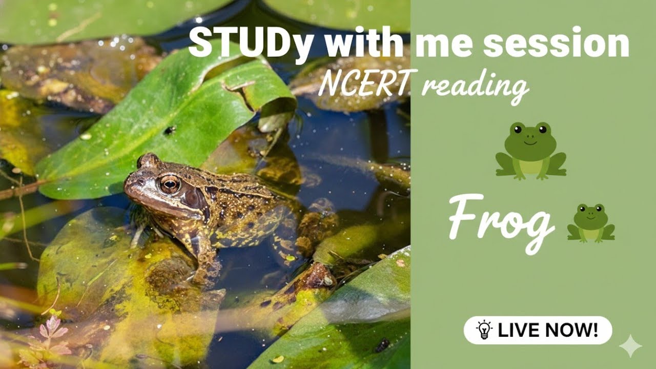 FROG 🐸 NCERT READING ✨ LIVE -STUDY with me session 🚨#neetaspirants 