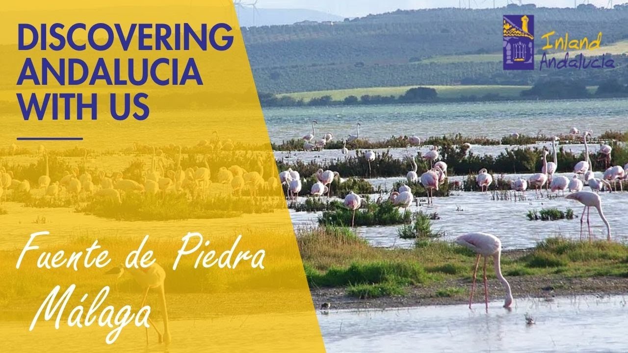 Discovering Andalucia With Us. Fuente de Piedra, Malaga, Spain