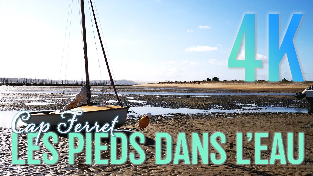 WALK IN CAP FERRET TOWARDS THE OCEAN - 4K UHD