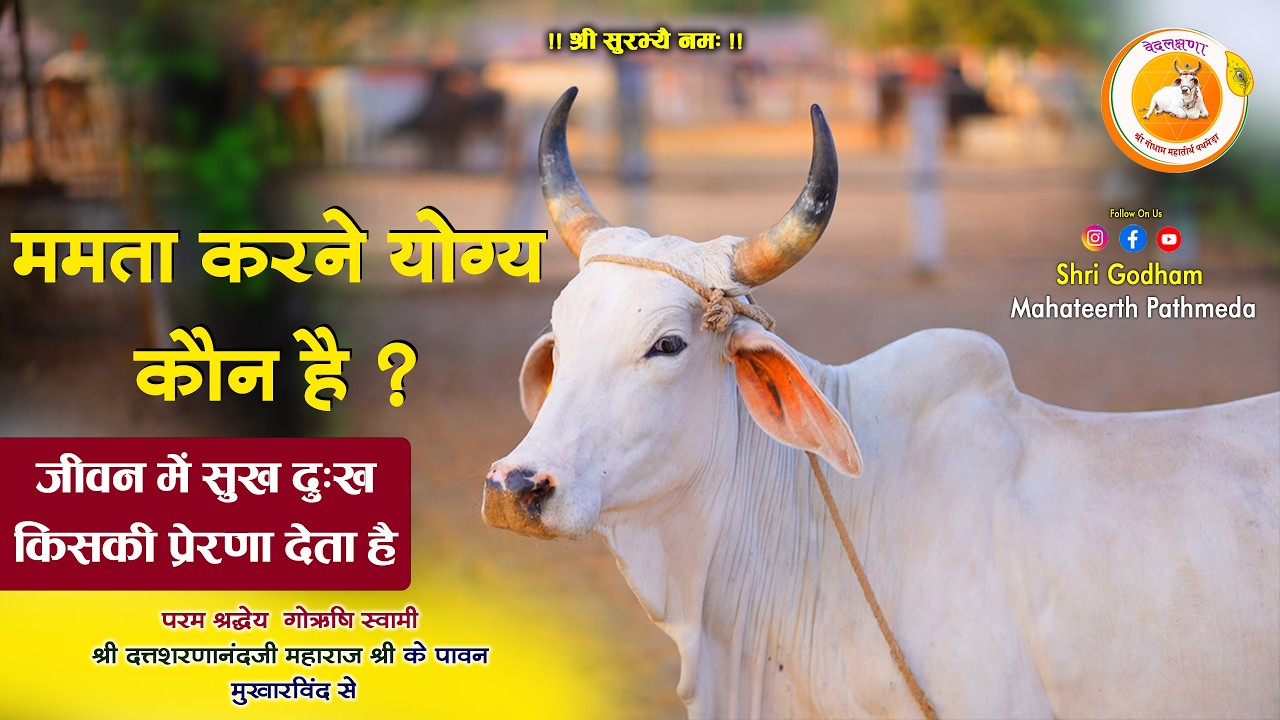 ममता किससे करें? सुख-दुख कौन देता है? | पथमेड़ा महाराजश्री 🔥 Shree Godham Pathmeda #godhampathmeda