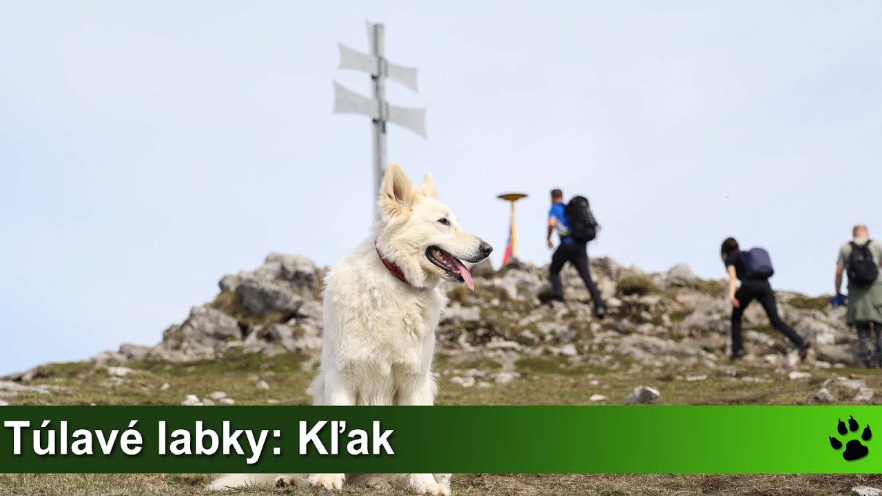 T&uacute;lav&eacute; labky: Kľak z obce Vr&iacute;cko (Kľack&yacute; vodop&aacute;d, Ostr&aacute; skala)