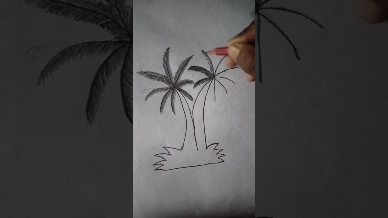 How To  Draw A Palm Tree🌴 Easy/khajur ka Ped ki Drawing ll #palm#tree#easydrawing #youtubevideos 