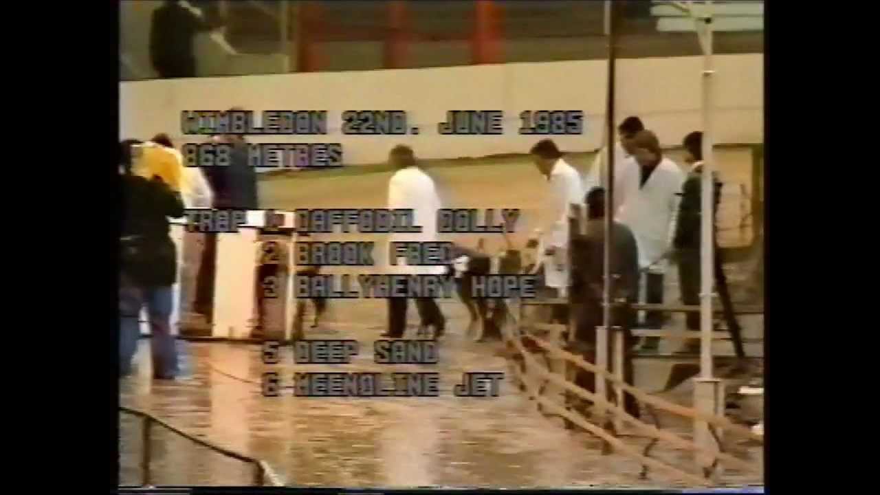 WIMBLEDON, 22-6-85...SCURLOGUE CHAMP
