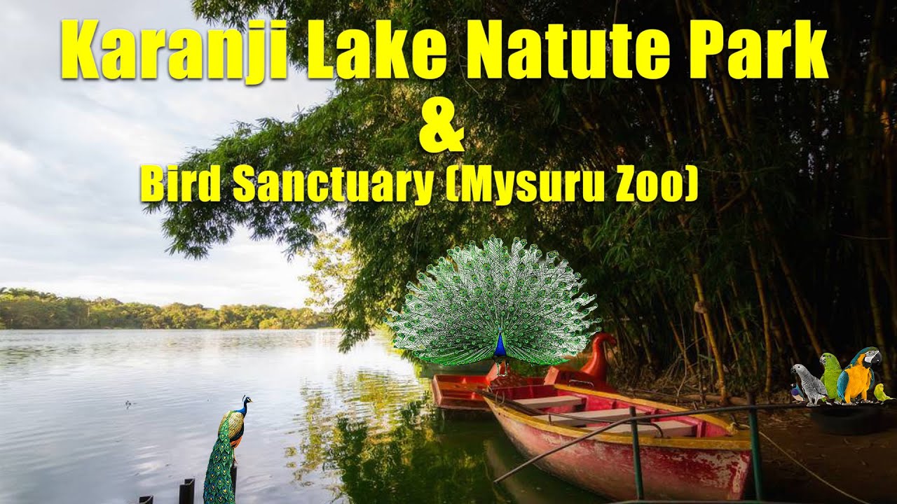 Karanji Lake Mysore Tour 🦢 | Best Tourist Place in Mysuru | Nature Park & Aviary | Apna Banda 2025