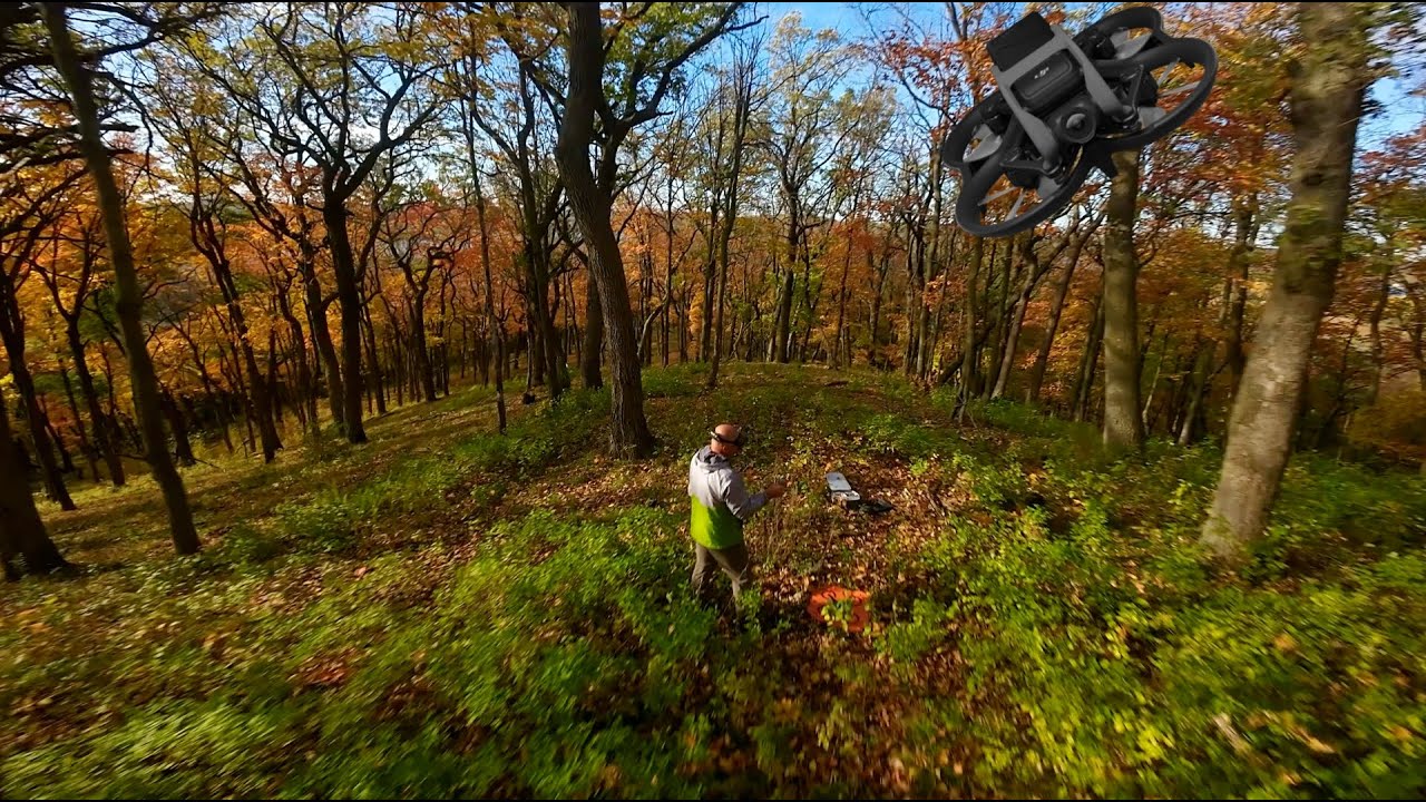 DJI AVATA- Amazing Fall Forest Flight [4k]