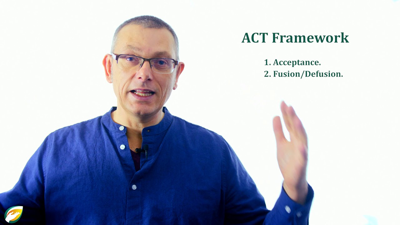 ACT-Framework for DP/DR therapy - Ben Meijer