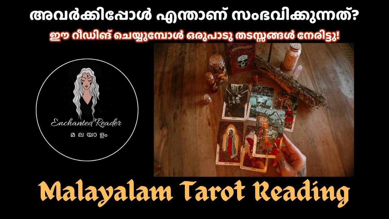 അവർക്കിപ്പോൾ എന്താണ് സംഭവിക്കുന്നത്? | What's happening to them? | Malayalam Tarot Reading