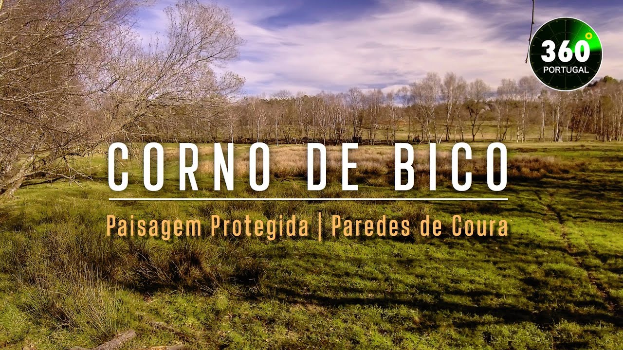 Corno de Bico | Paredes de Coura