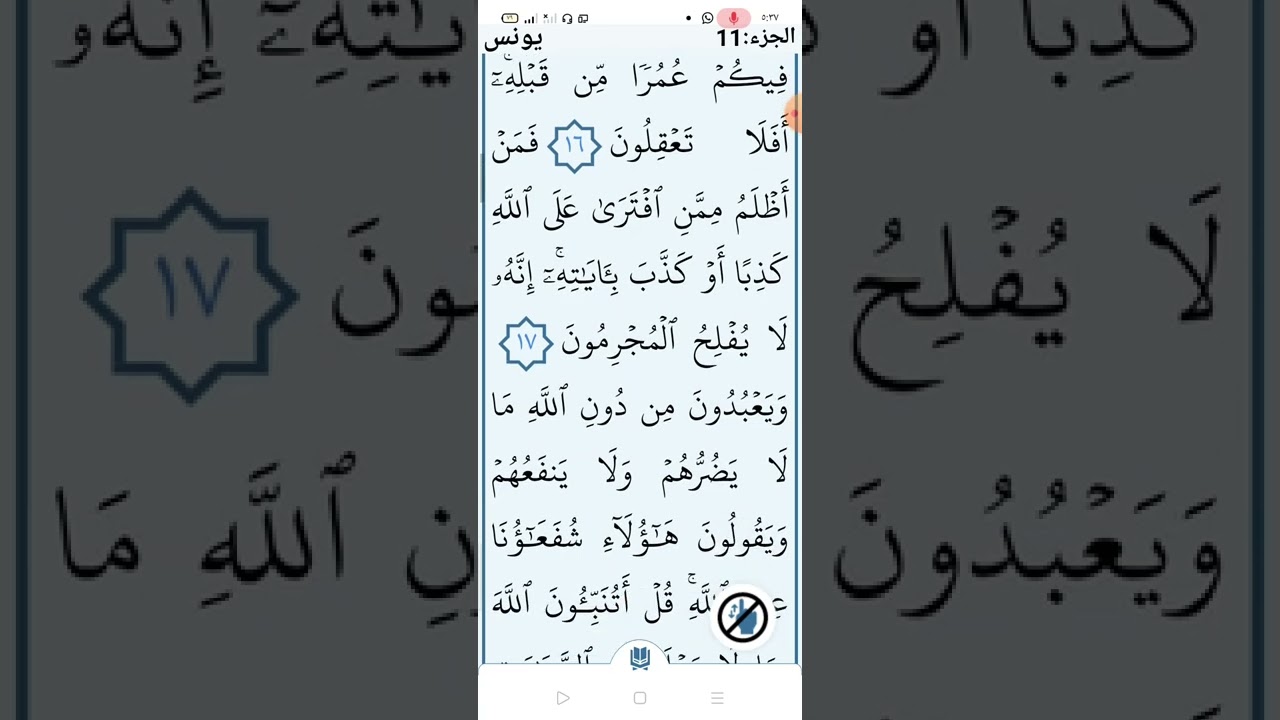 سورة يونس صفحه (٢١٠)