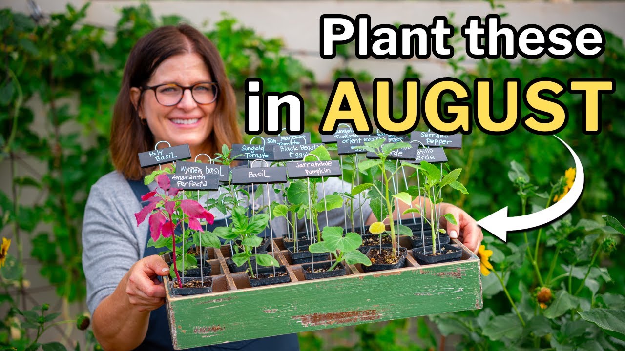 AUGUST PLANTING GUIDE: What to Plant in Zones 9 and 10