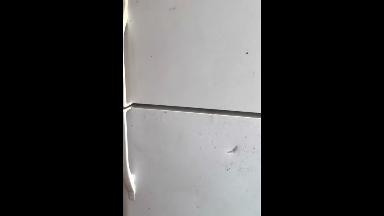 Setting up our Micro Dairy