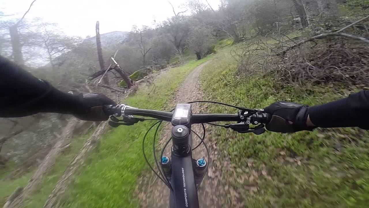 SJRT 2015