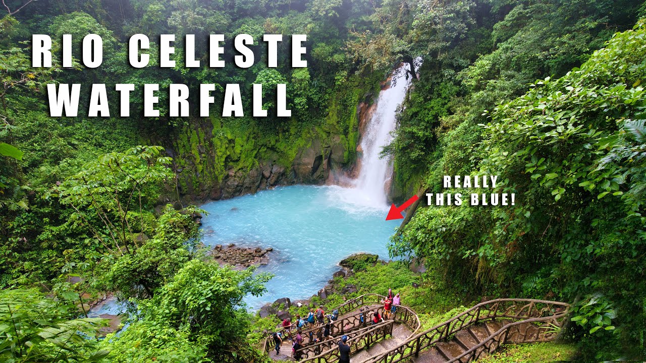 Rio Celeste Waterfall & Jungle Night Tour! | Costa Rica