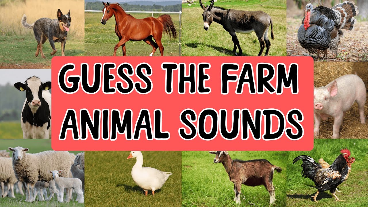 Guess the Farm Animal Sounds! 🐮🐷 Fun Learning Game for Kids