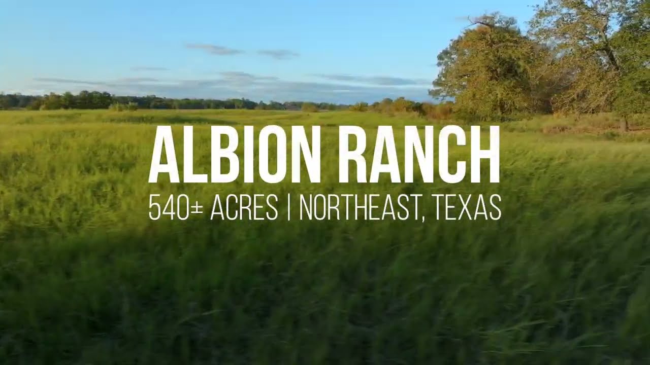 SOLD - JBL Ranch