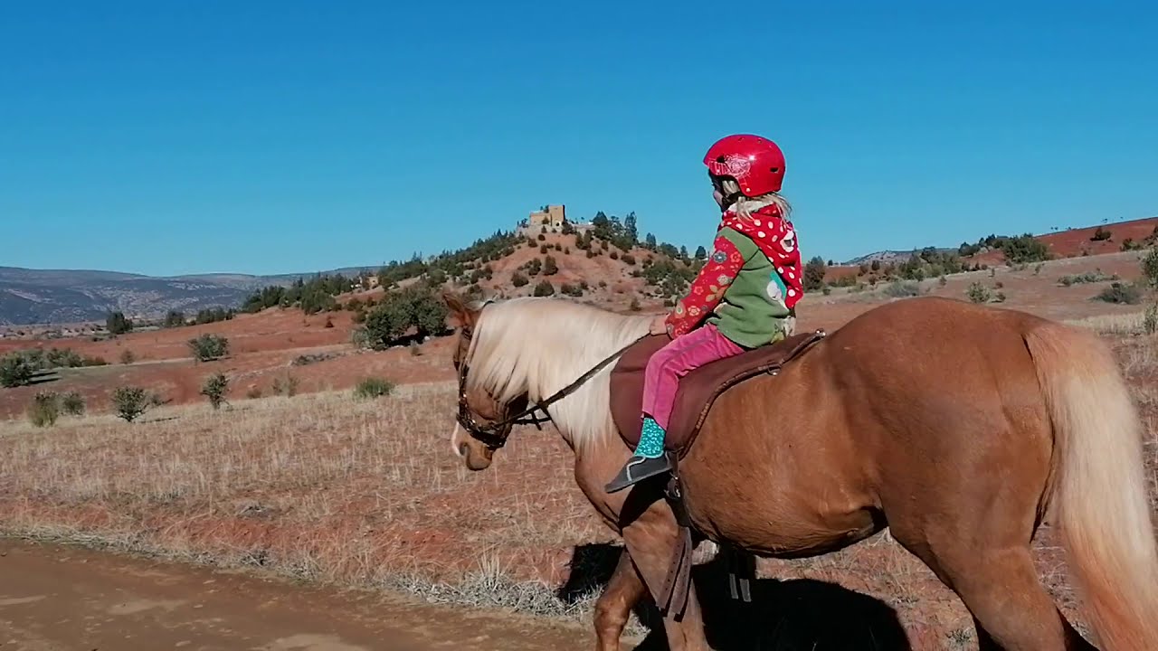 Horse Musik Video ~don't let me down