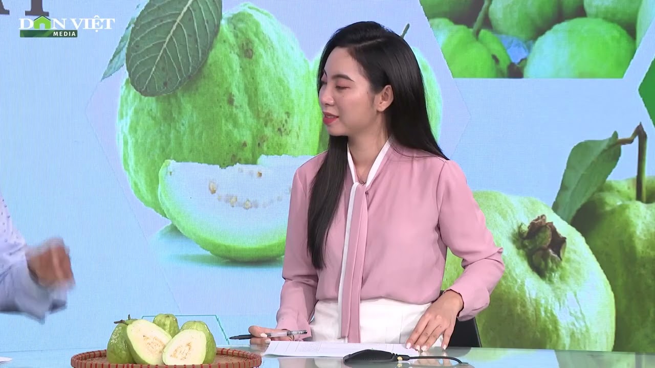 GÓC CHUYÊN GIA: Bón phân đúng tỉ lệ giúp cây ổi cho chất lượng quả tốt