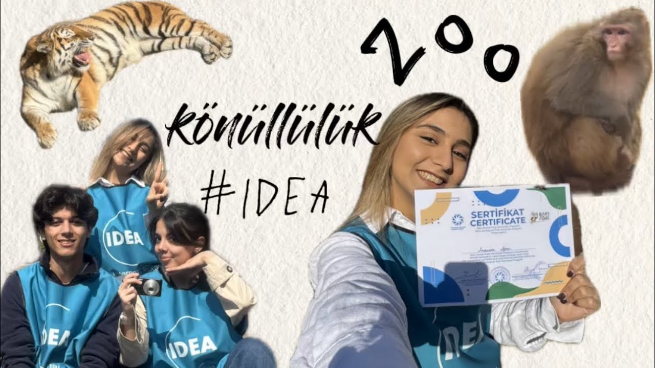 İDEA ZOO könüllülük | 1 aylıq təcrübəm | heyvanlarla məcaralar