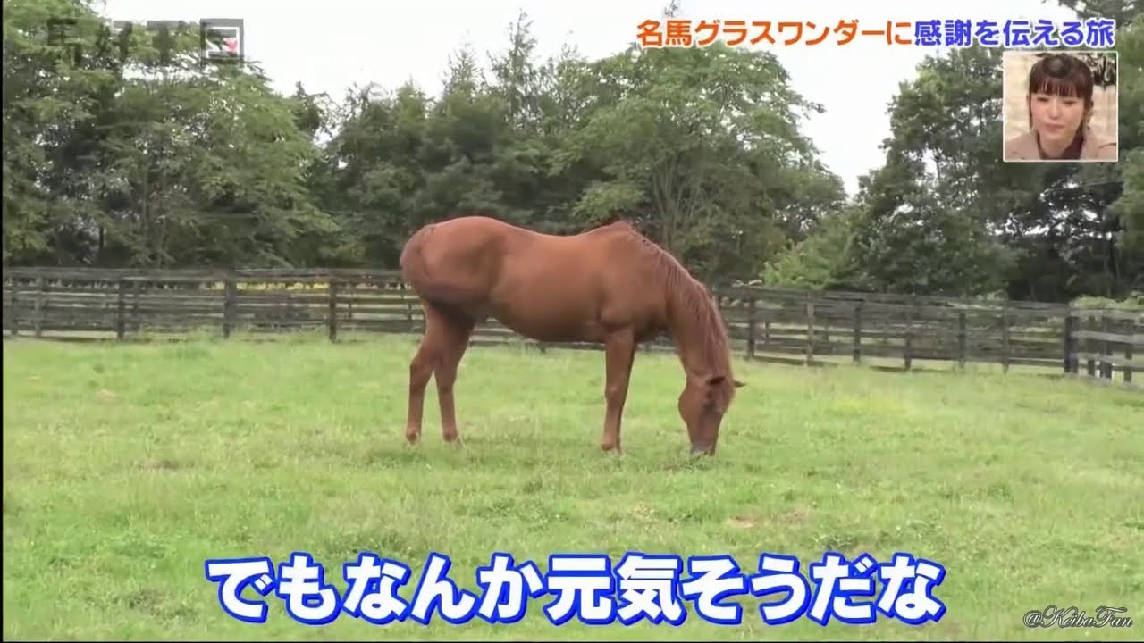 グラスワンダーとカンニング竹山