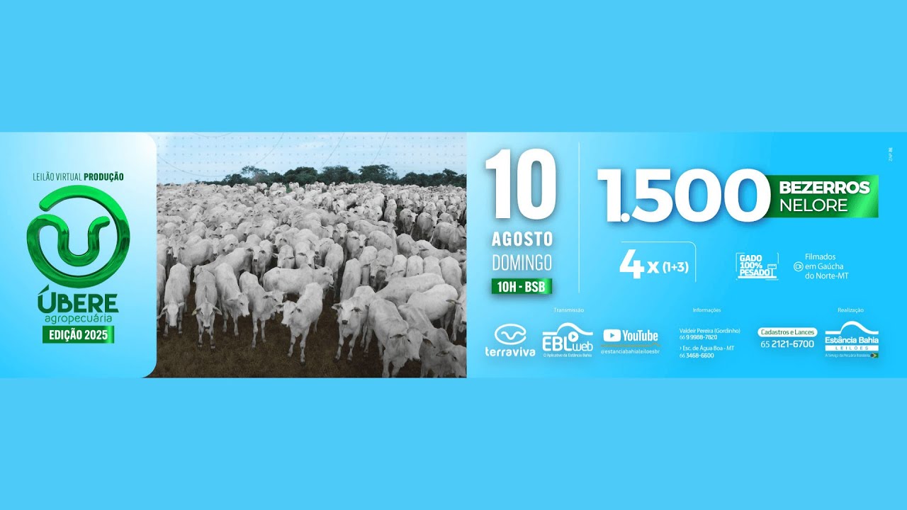 LEILÃO VIRTUAL PRODUÇÃO ÚBERE AGROPECUÁRIA | 10/08/2025 – 10H