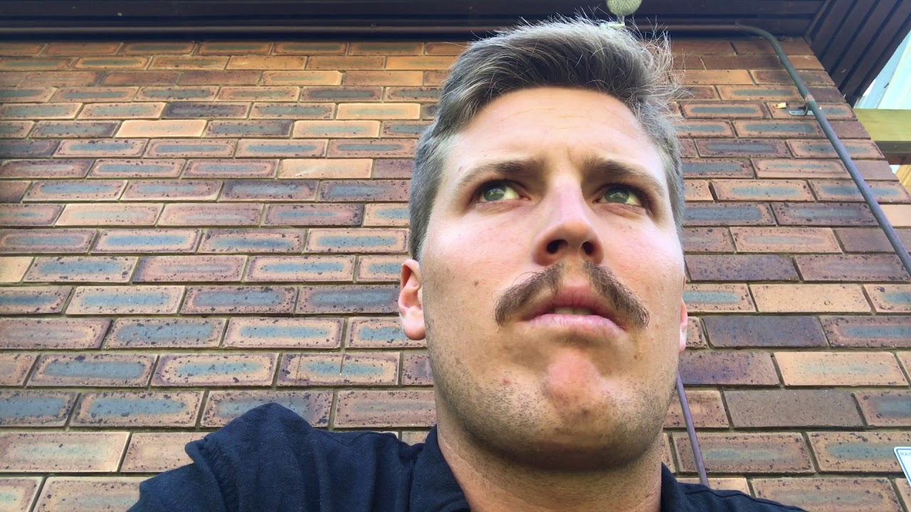Ziggy Alberts - Subscriber Update #2 25.08.18