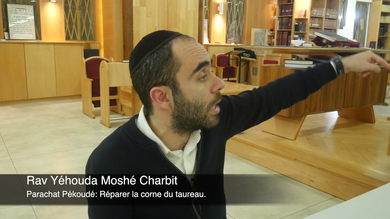 Parachat Pékoudé: Réparer la corne du taureau