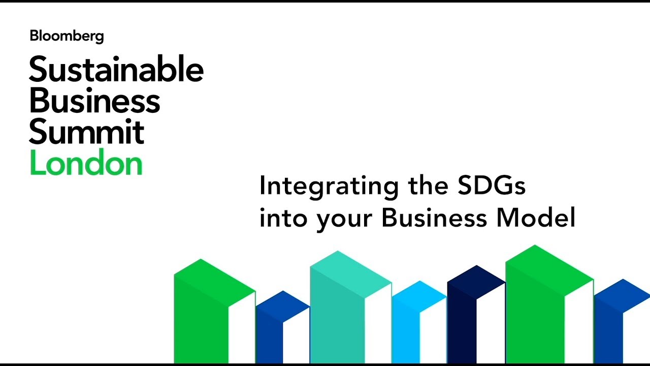 Integrating the SDGs into your Business Model