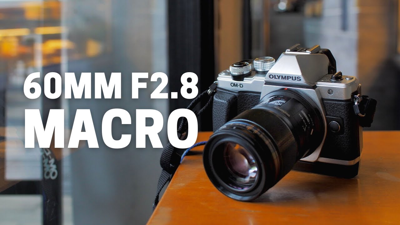 Is Olympus 60mm F2.8 The Best Macro Lens?
