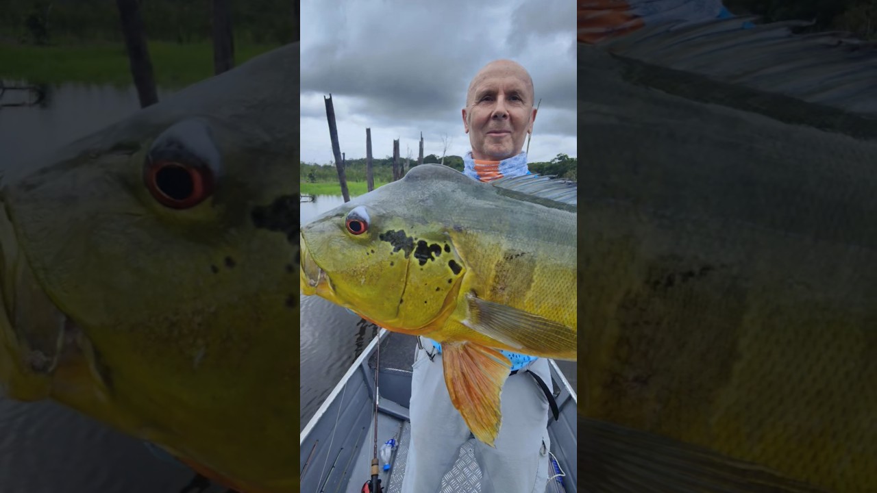 Życiowy Peackoc Bass Marka 🇧🇷To były piękny dzień 🎣 #przewodnicywedkarscy