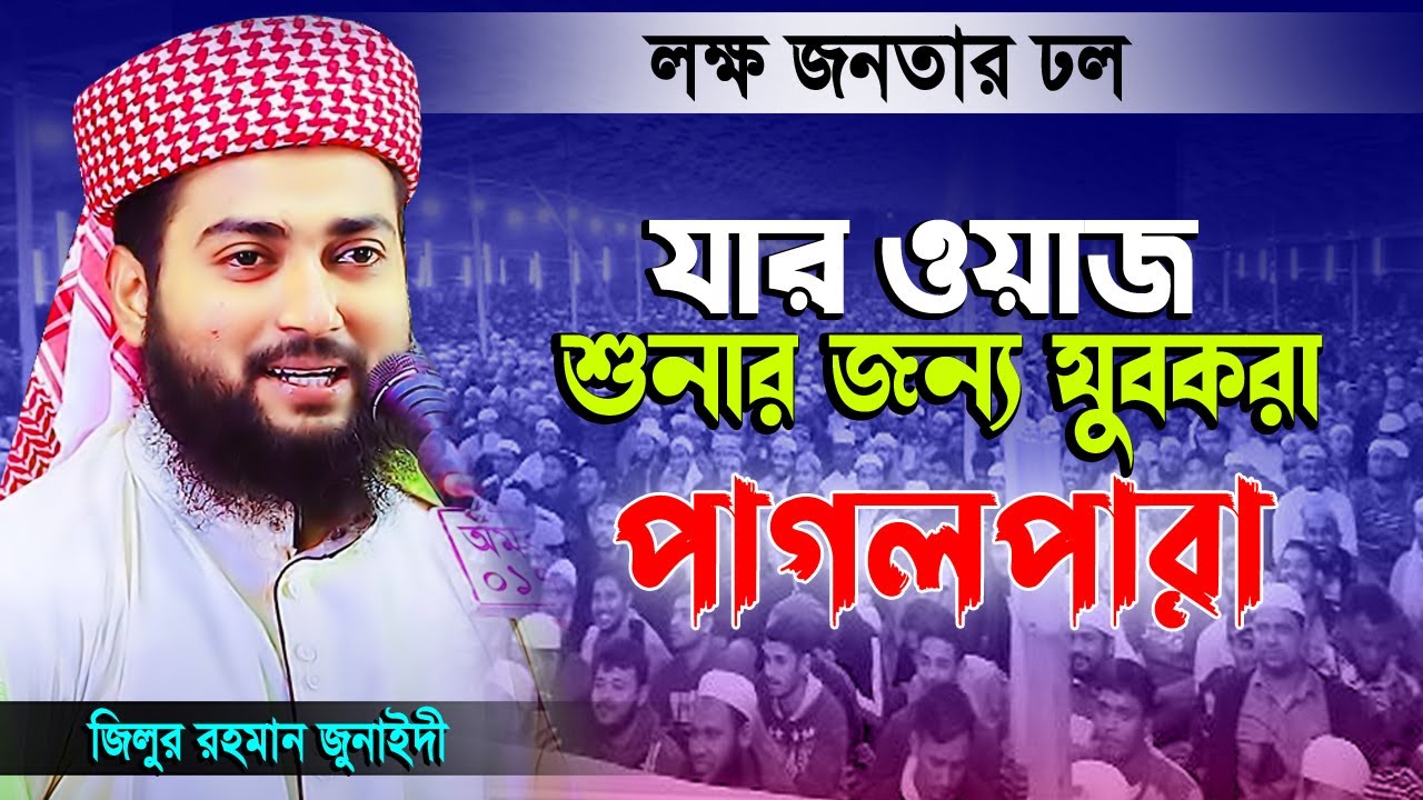 কন্ঠ নয় যেন বেহেশতের সুর ! মাওঃ জিল্লুর রহমান জুনাইদী। Zillur Rahman Junaidi New Waz 2023 Bangla Waz