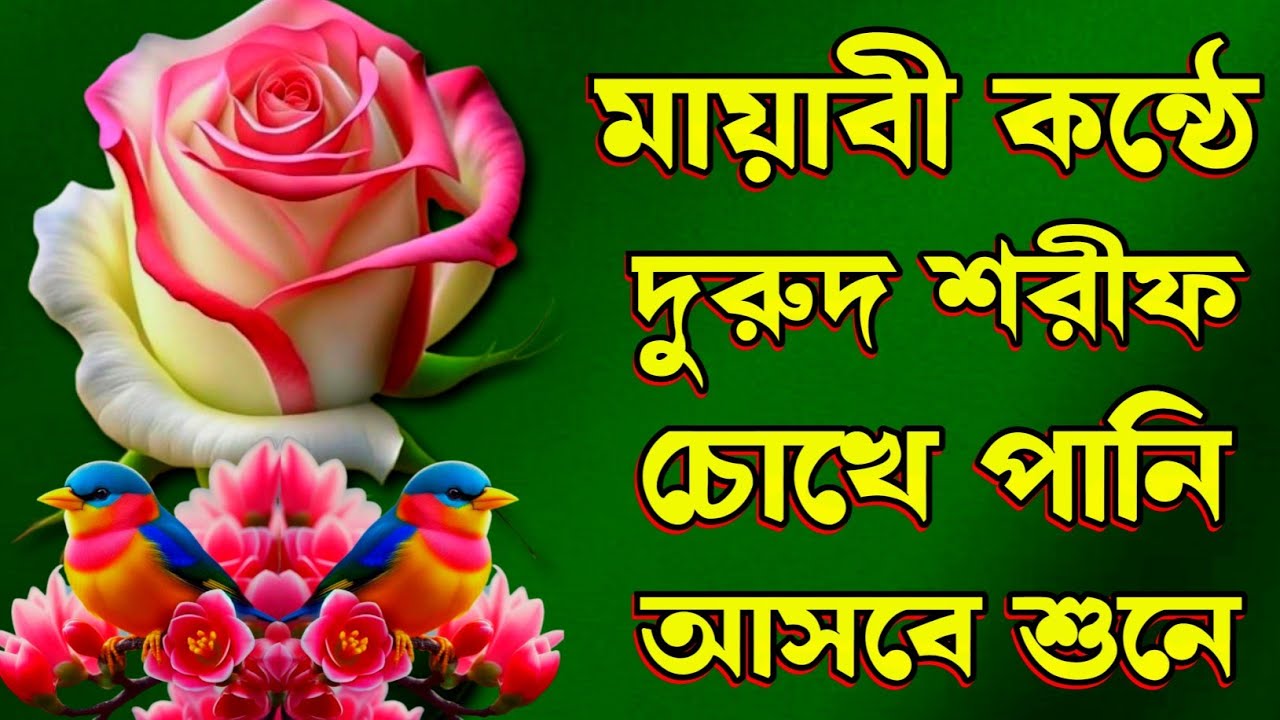মায়াবী কণ্ঠে দুরুদ শরীফ ঘুমানোর আগে শুনেন চোখে পানি চলে আসবে ইনশাআল্লাহ কন্ঠ মোঃ আজিবুর রহমান 