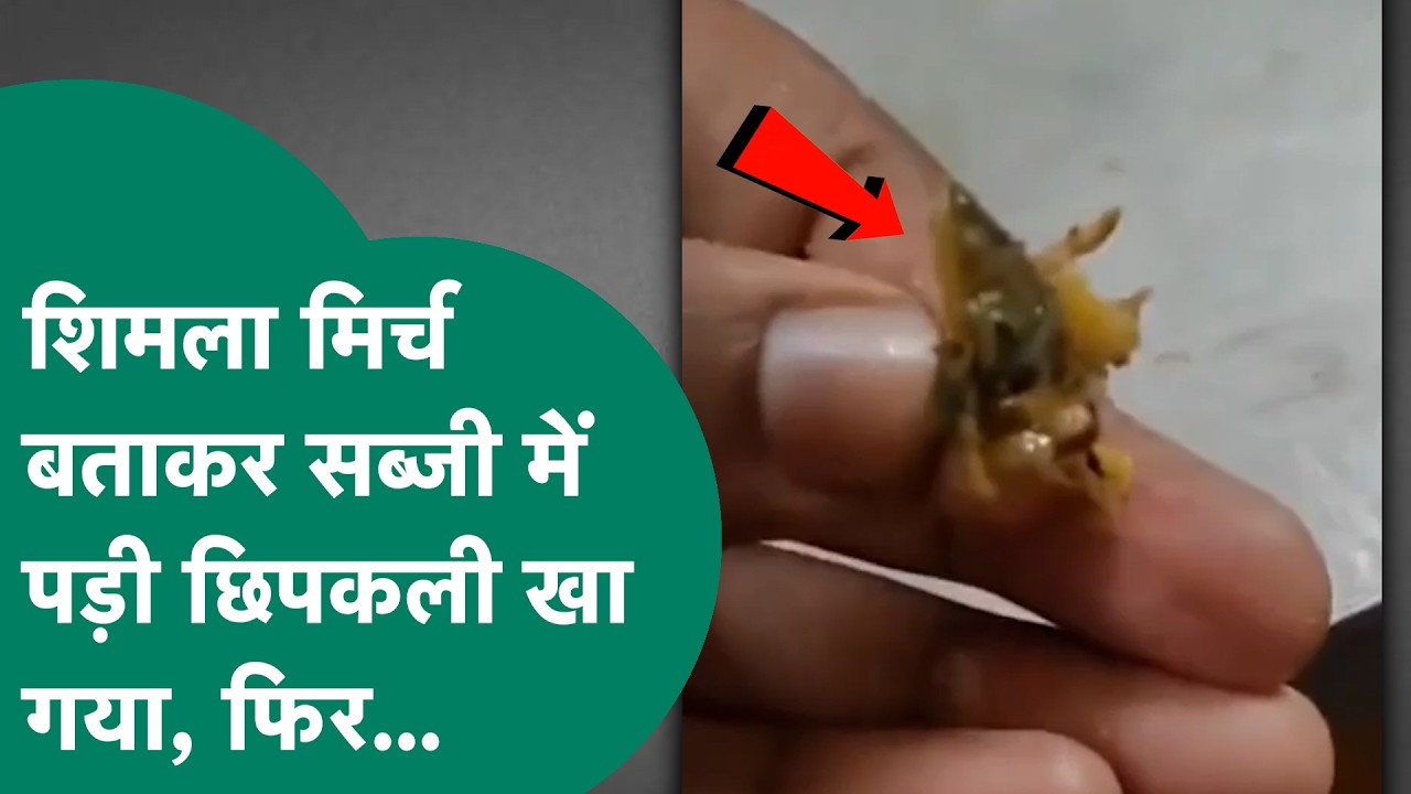 Bhopal News: A young man ate a lizard found in the food in the college canteen, claiming it to be...