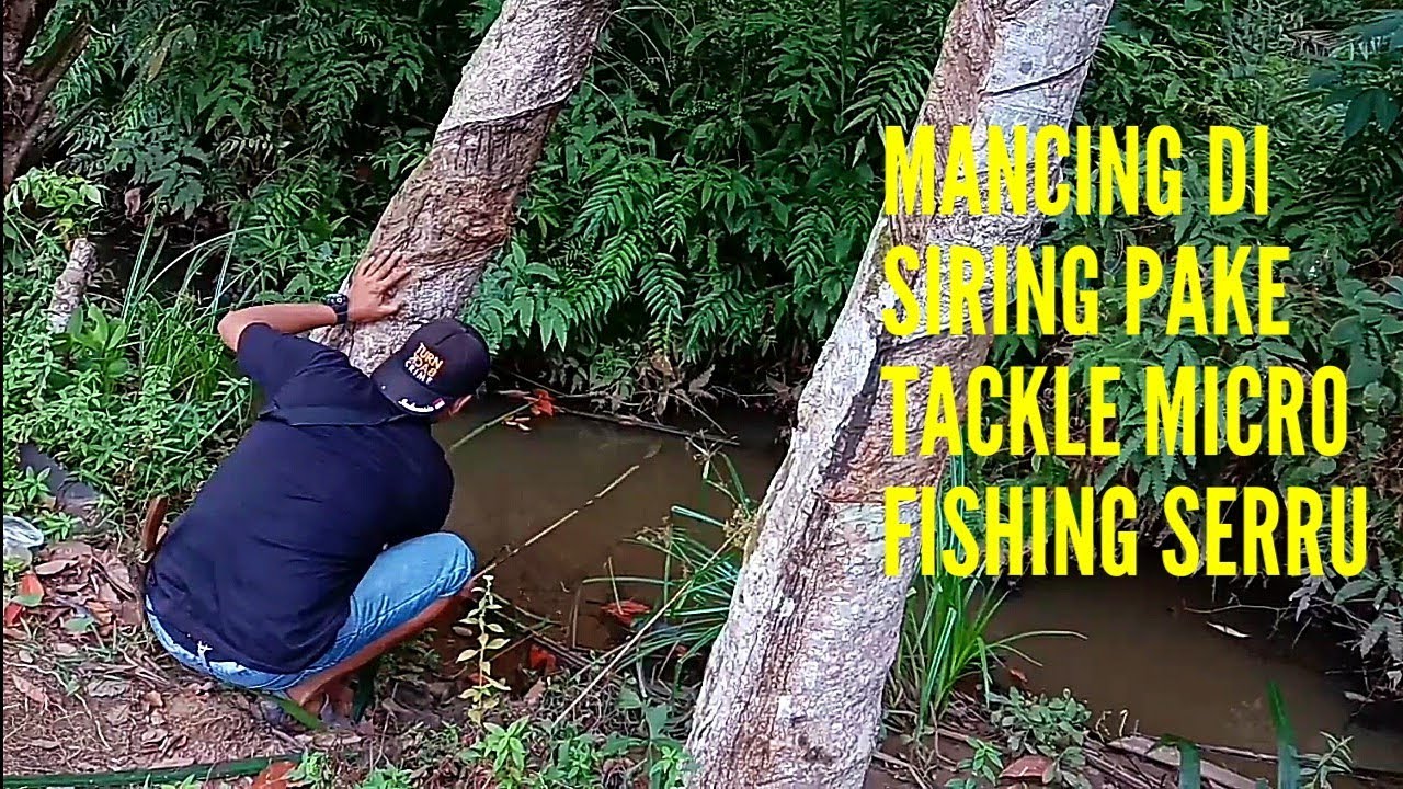 MANCING DI SIRING PAKE TACKLE MICRO FISHING LENGKUNGAN NYA LEK...SERU