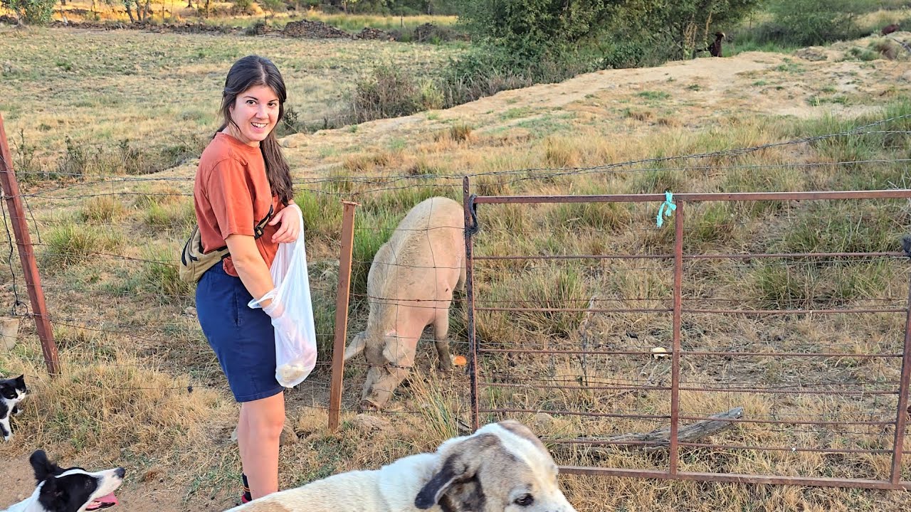 Atendiendo a los animales, creo que dentro de poco tenemos sorpresa 