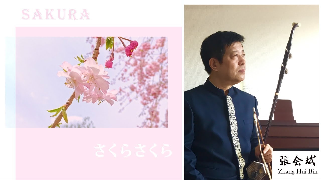#SongsOfComfort: 二胡 張会斌  Erhu  Zhang Hui Bin: さくらさくら　Sakura Sakura