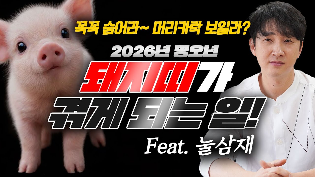 2026년 병오년 삼재 돼지띠 운세! 눌삼재 때 돼지띠가 겪게 되는 일... / 꼭꼭 숨어라! 머리카락 보일라? / 이렇게만 하면 복삼재 가능!