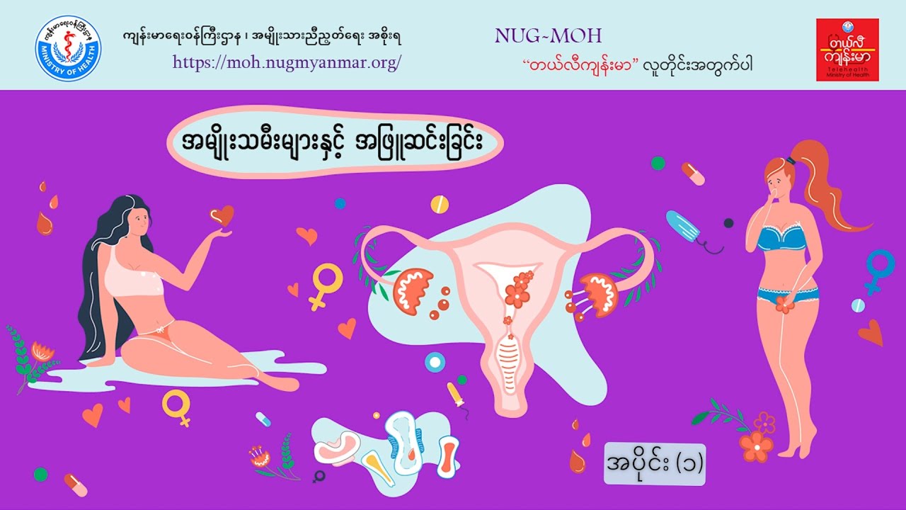 အမျိုးသမီးများနှင့် အဖြူဆင်းခြင်း (အပိုင်း - ၁)