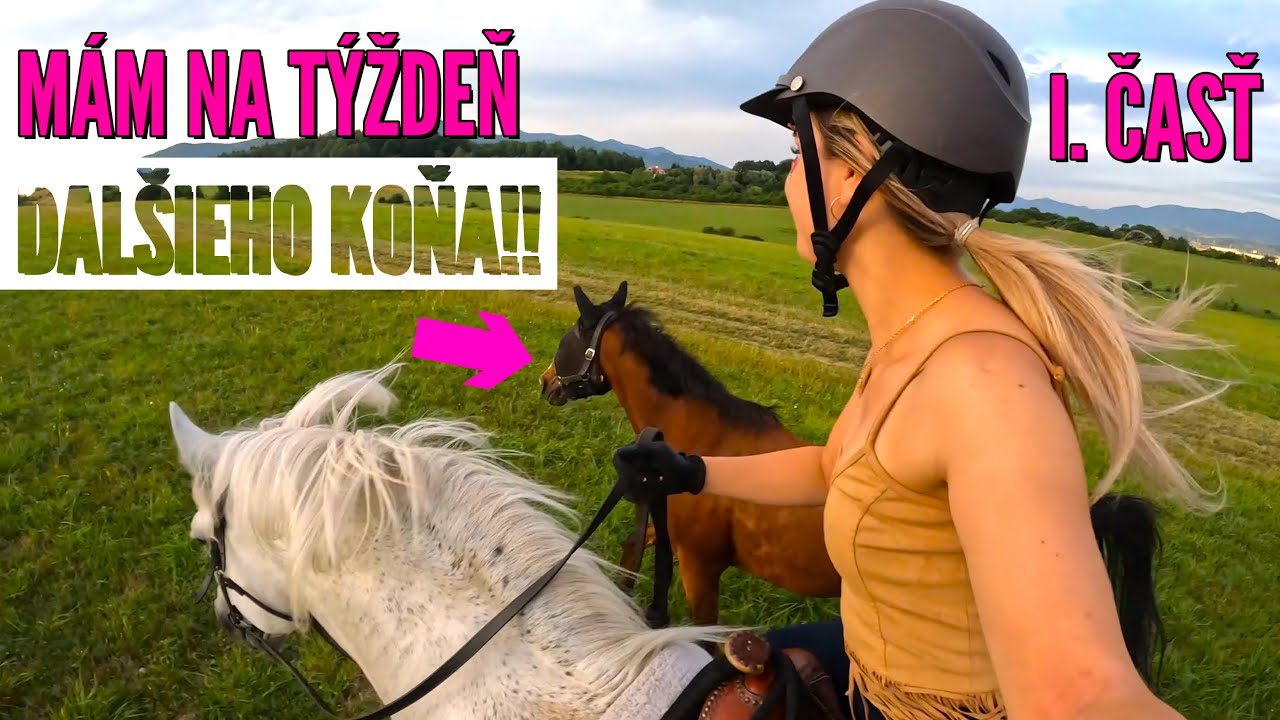 Mám na týždeň ďalšieho koňa!! 🥳 I. časť 🎥| video so psami a koňmi, jazdenie na koni